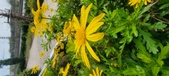 Enlarge photo 53