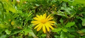 Enlarge photo 54