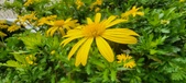 Enlarge photo 55
