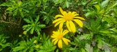 Enlarge photo 56