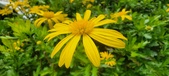 Enlarge photo 57