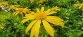 Enlarge photo 58