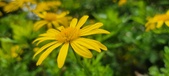 Enlarge photo 60