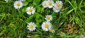 Enlarge photo 66