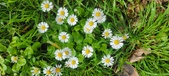 Enlarge photo 67