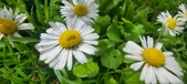 Enlarge photo 69
