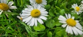Enlarge photo 70