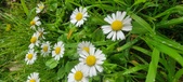 Enlarge photo 73