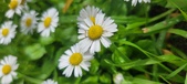 Enlarge photo 77