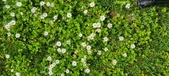 Enlarge photo 80