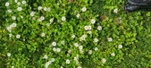 Enlarge photo 81
