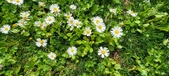 Enlarge photo 82
