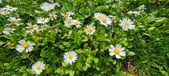 Enlarge photo 83