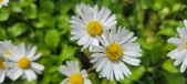 Enlarge photo 84