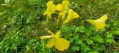 Enlarge photo 505