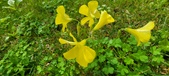 Enlarge photo 504