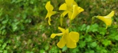 Enlarge photo 502