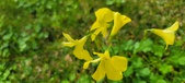 Enlarge photo 501