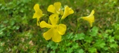 Enlarge photo 499