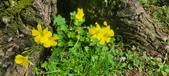 Enlarge photo 497