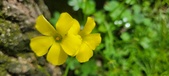 Enlarge photo 496