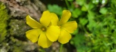 Enlarge photo 495