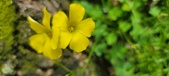 Enlarge photo 494