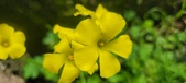 Enlarge photo 493