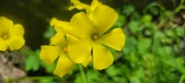 Enlarge photo 492