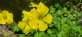 Enlarge photo 491