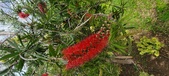 Enlarge photo 489