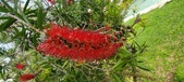 Enlarge photo 487