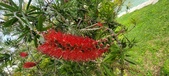 Enlarge photo 486