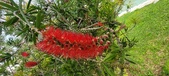 Enlarge photo 485