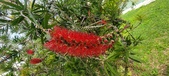 Enlarge photo 484