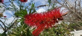 Enlarge photo 482