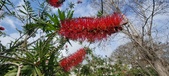 Enlarge photo 481
