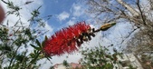 Enlarge photo 480