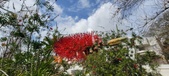 Enlarge photo 479