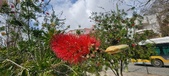 Enlarge photo 478
