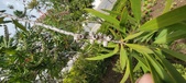 Enlarge photo 475