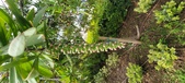 Enlarge photo 473