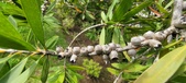 Enlarge photo 471