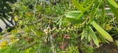 Enlarge photo 466