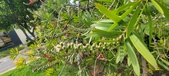 Enlarge photo 465