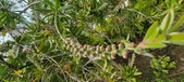 Enlarge photo 464