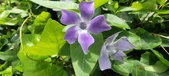 Enlarge photo 463
