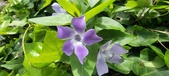 Enlarge photo 462