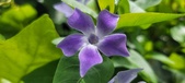 Enlarge photo 460
