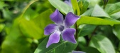 Enlarge photo 458